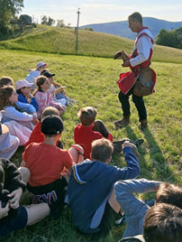 erdei tabor 4